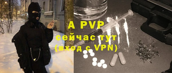 гидра Бронницы