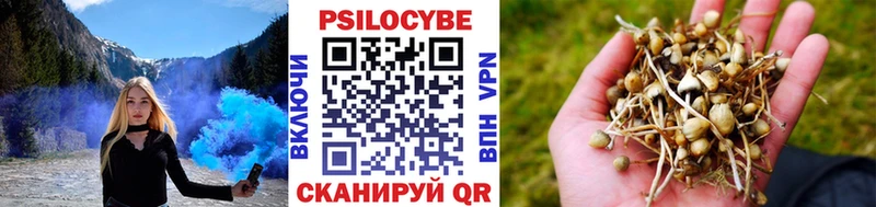 Псилоцибиновые грибы мицелий  Волоколамск 