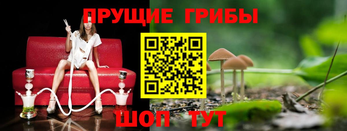 МЕФ   A PVP СК кристаллы  ГАШИШ  Вейп ТГК  Где купить  Вход с VPN  Волоколамск  Конопля 